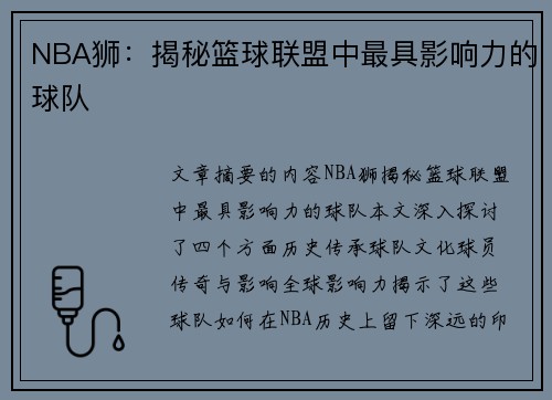 NBA狮：揭秘篮球联盟中最具影响力的球队